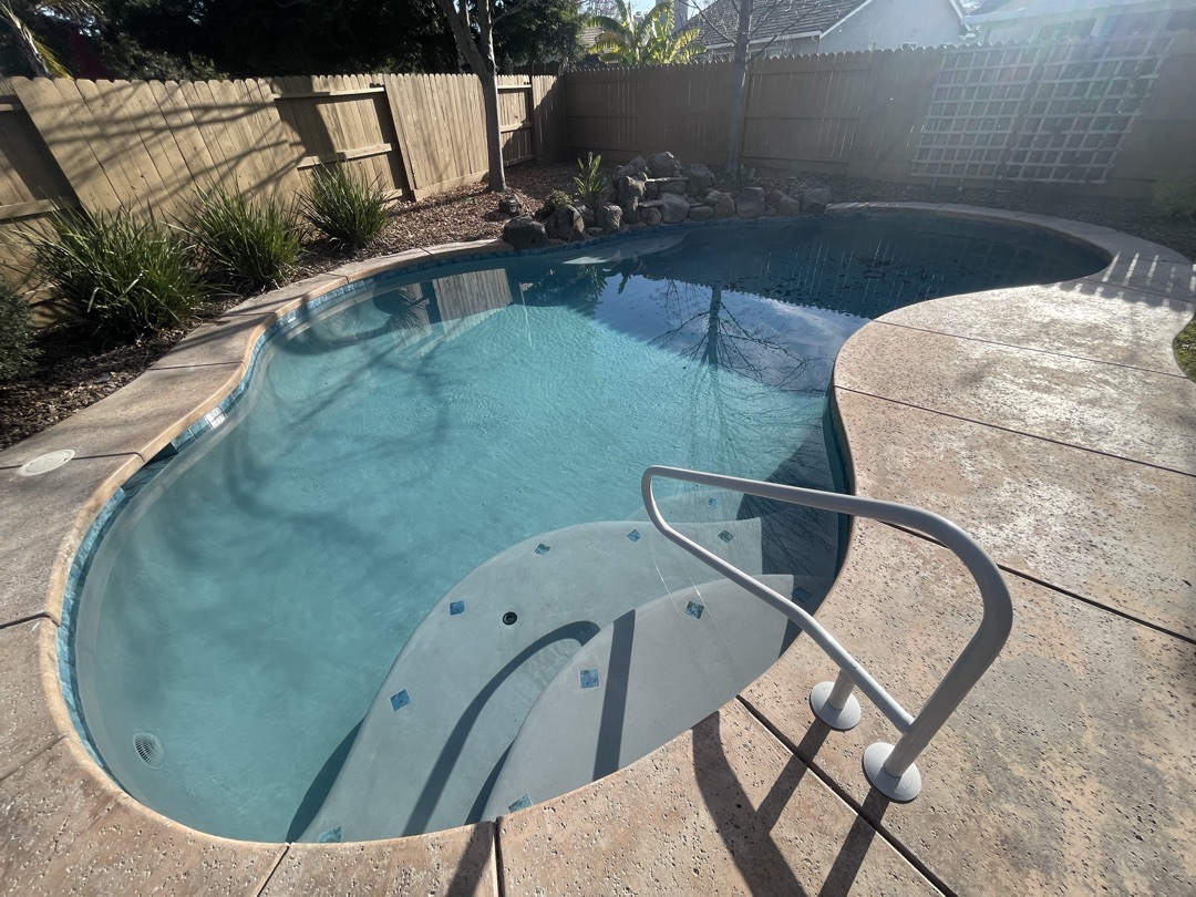 Kidney-shaped pool with fresh light plaster, blue tile line and a new handrail