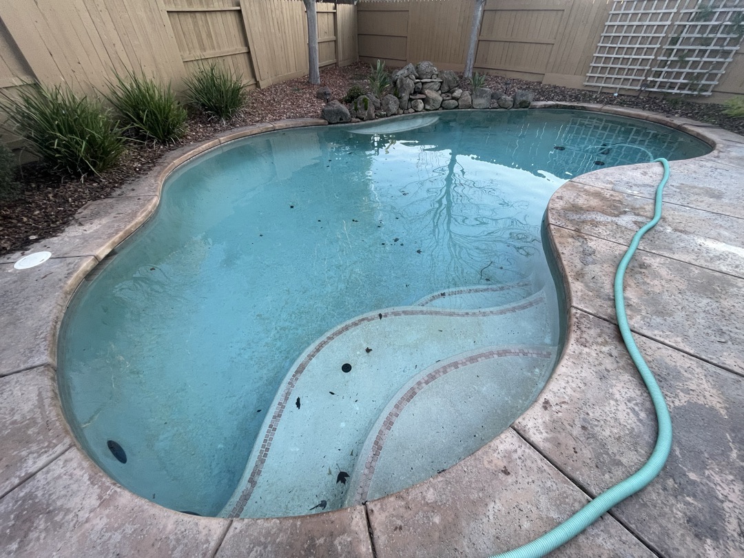 The same kidney-shaped pool before replastering