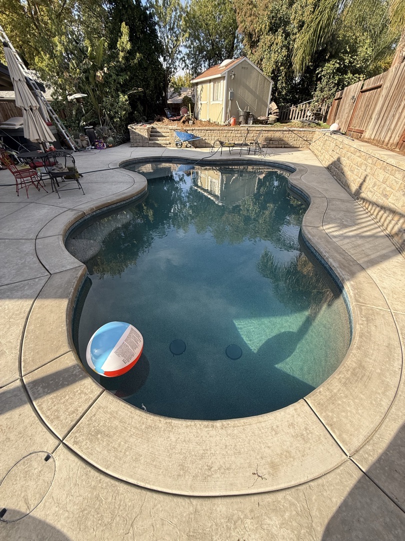 Curved new pool with a wide coping edge and stamped deck in a Roseville backyard